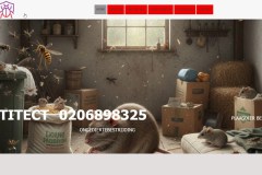 Ratten Amsterdam